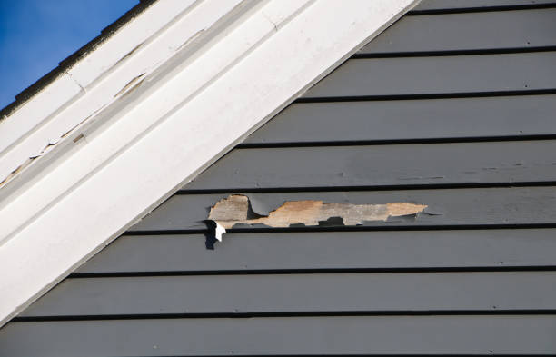 Best Hoarding Cleanup  in Geneva, NY